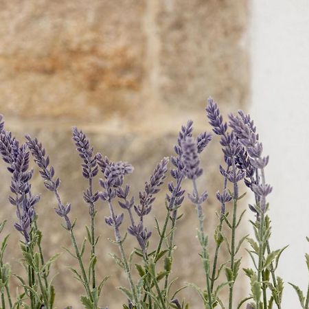 Apartmán Aparrtment Terra- Combine Beach&Old Town Split Exteriér fotografie