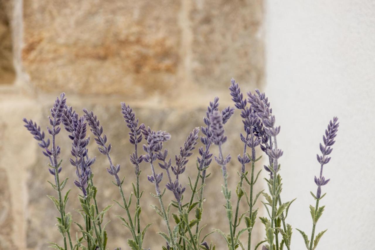 Apartmán Aparrtment Terra- Combine Beach&Old Town Split Exteriér fotografie